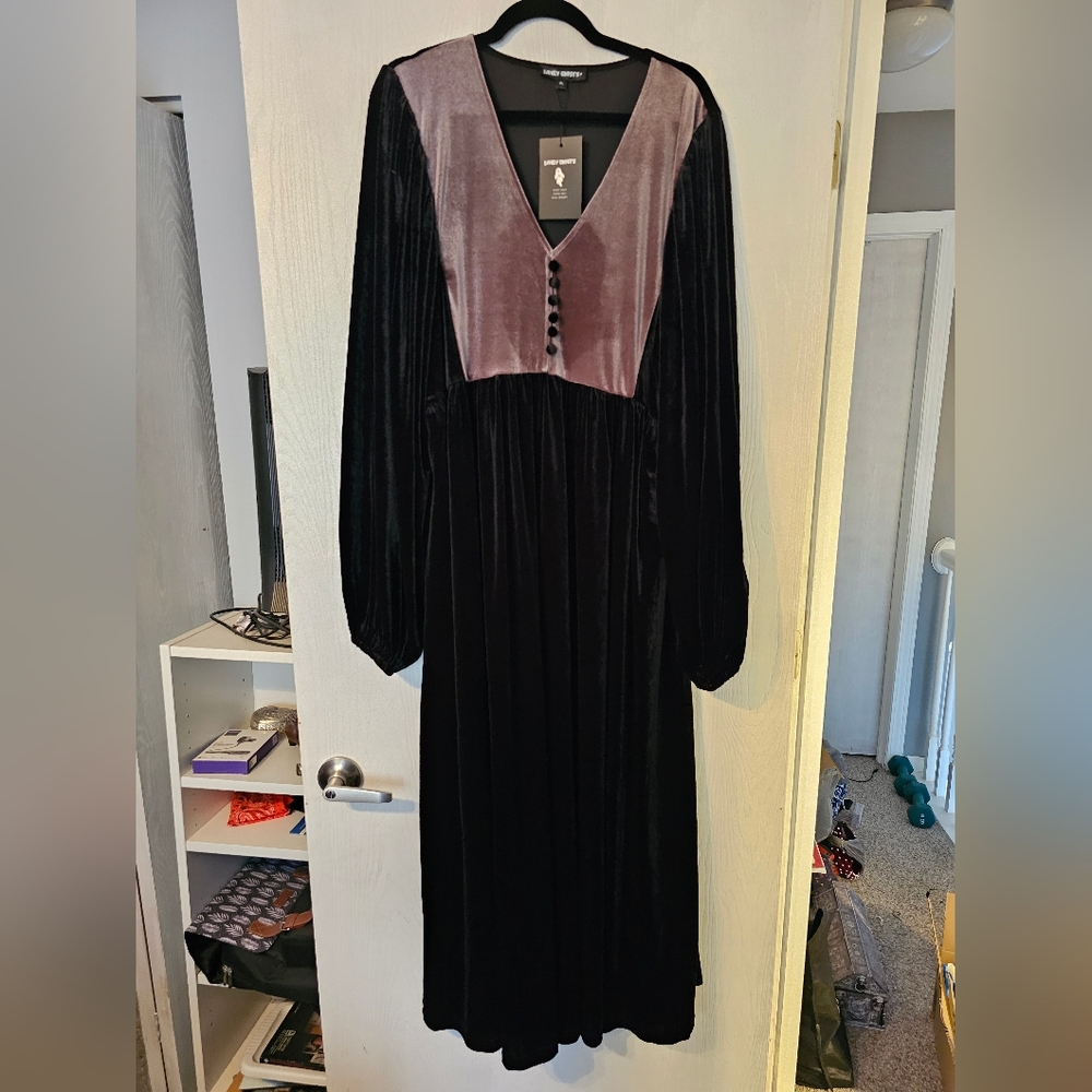 Lively Ghosts Silver Springs vintage inspired velvet dress